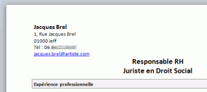 exemple titre du cv